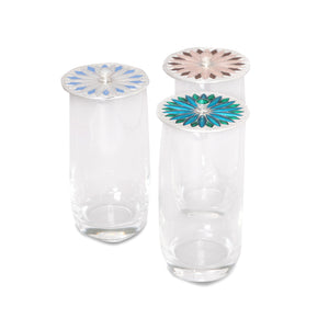 Glass Lid